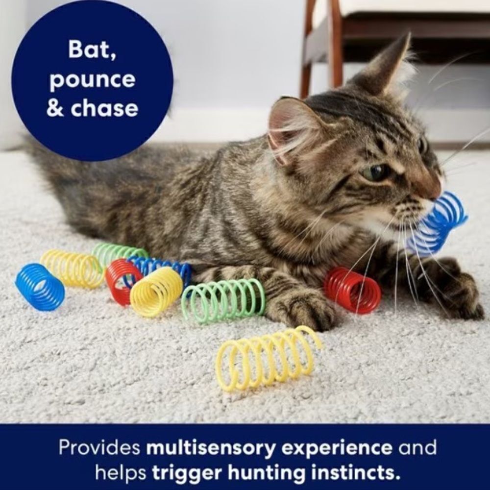Cat Toys Bundle turbo Balls & frisco Springs